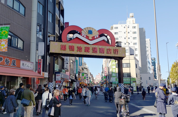 �����n�����X�X