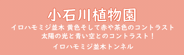 ���ΐ�A����