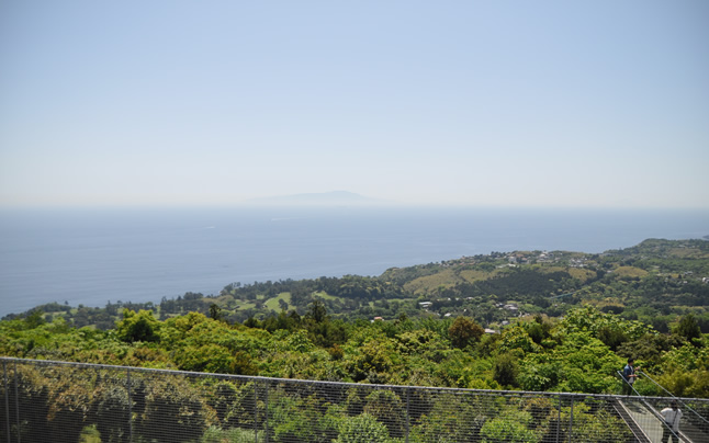 ���Ɍ�����哇