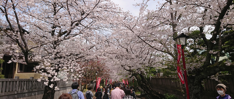 �@�،o���@��