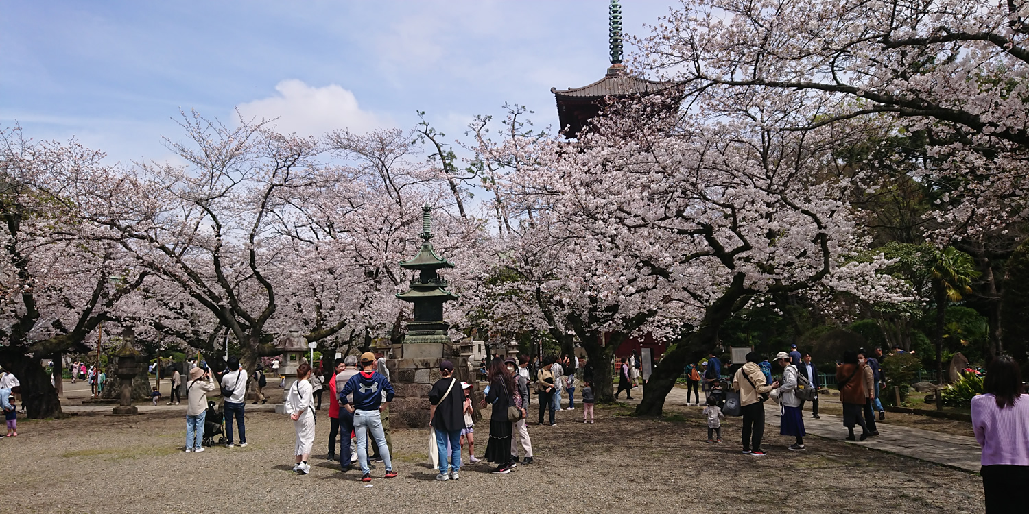 �@�،o���@�܏d��