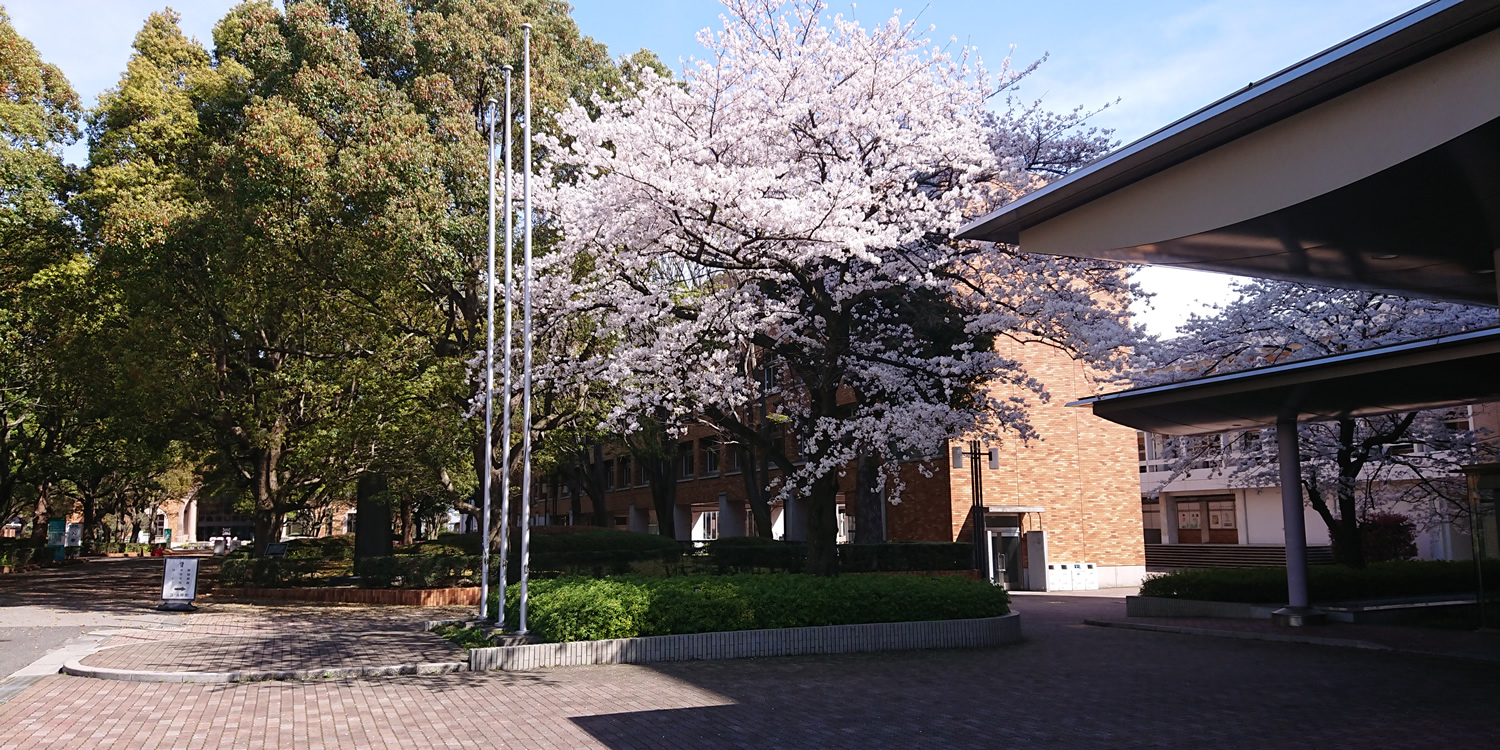 ��t���ȑ�w�@��