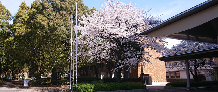 ��t���ȑ�w�@��