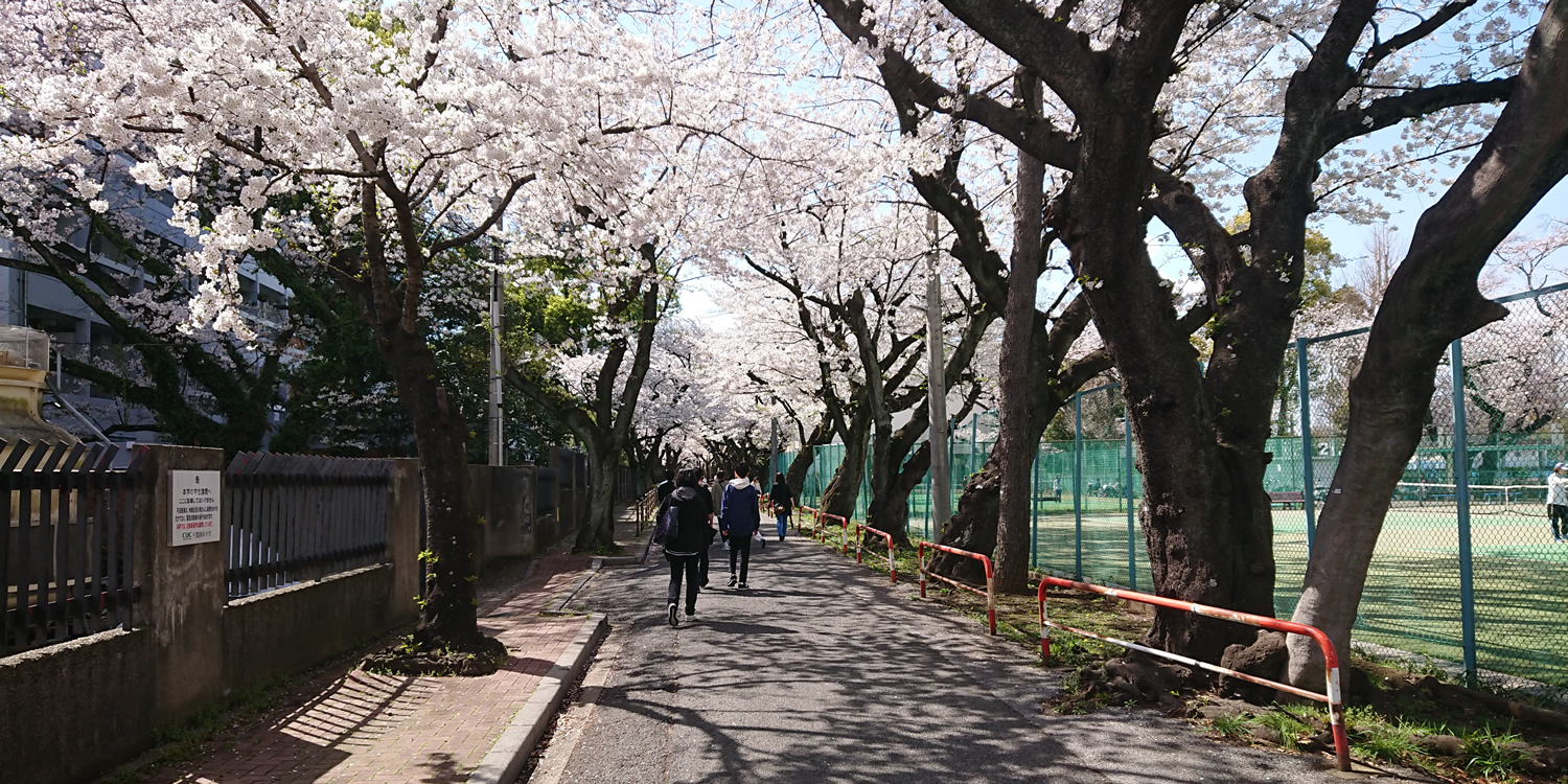 ��t���ȑ�w�@��