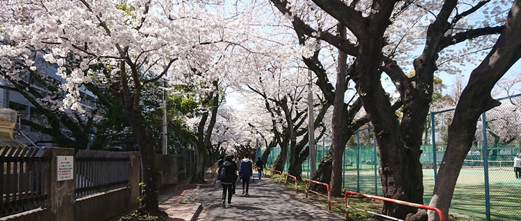 ��t���ȑ�w�@��