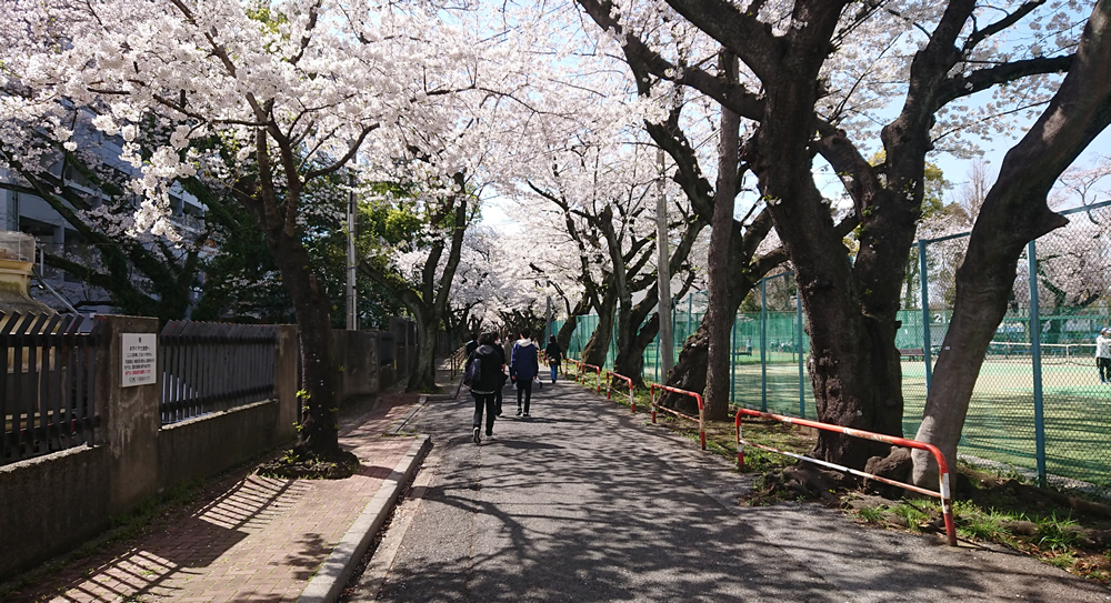 ��t���ȑ�w���̍�