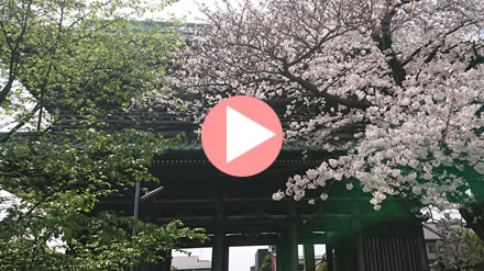 ���R�@�،o���@�R���