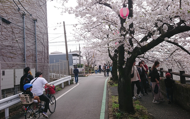 �������@��