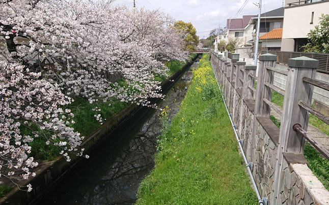 �������@��