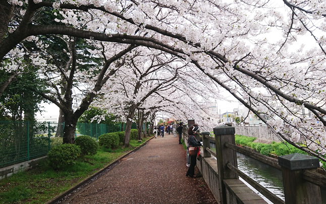 �s��s�@�^�Ԑ�