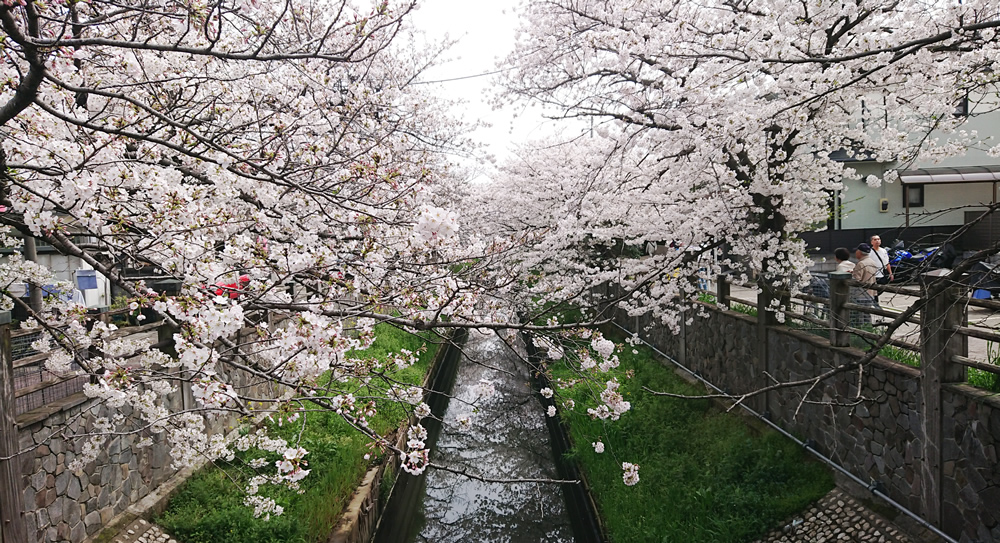 �s��@�^�Ԑ�@��