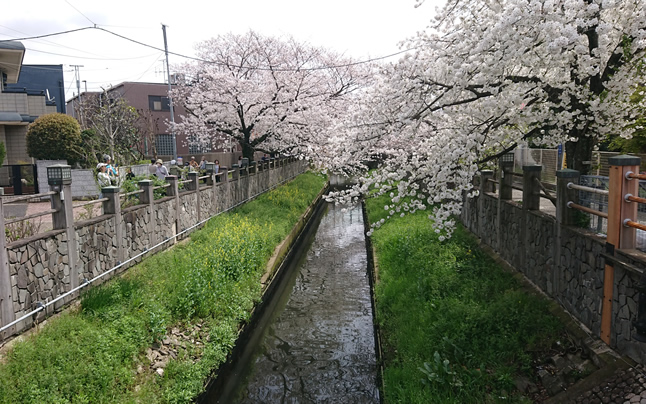 �s��s�@�^�Ԑ�