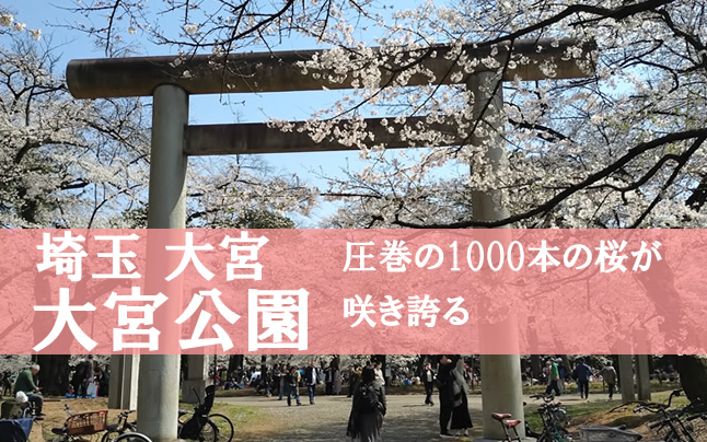 ��{�����@��