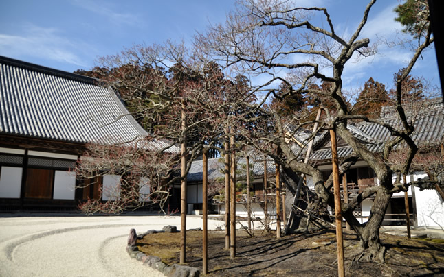 �痴�~�i����イ�΂��j