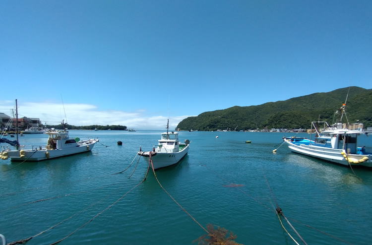 �˓c�`�i�ւ������j