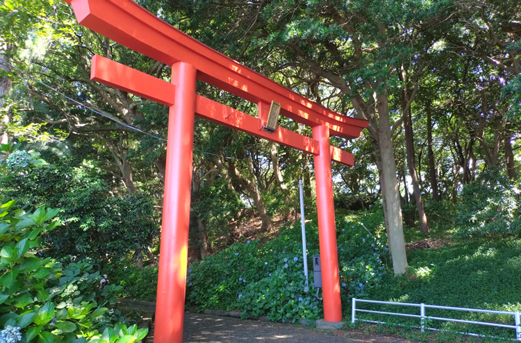 �������@