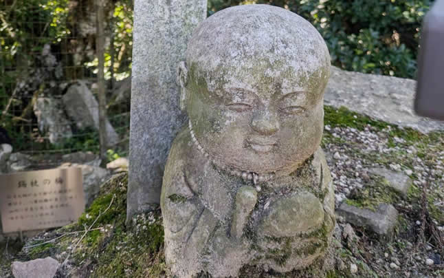 ���킢�����n��