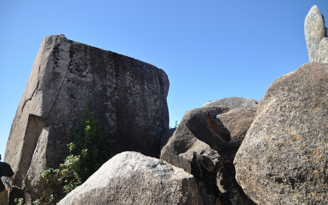 ����̋��ΌQ