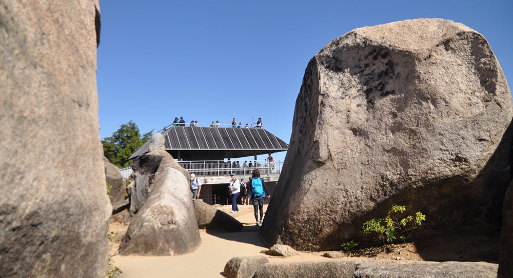 ��咸��ɋ��ΌQ