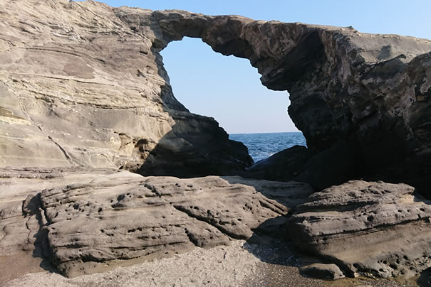 �n�̔w����