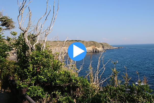 �E�~�E�W�]��