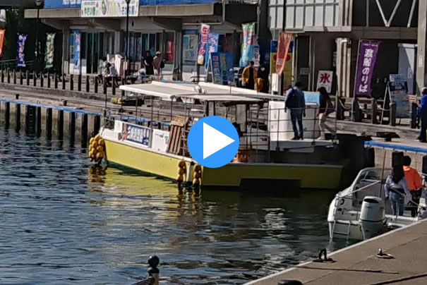 �܂���H�� �����q�� �C�N��