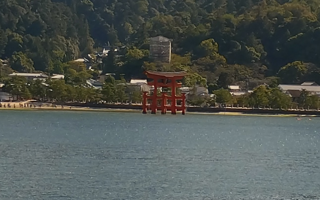 �t�F���[���猩����咹��