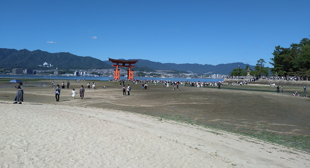 �������̑咹��