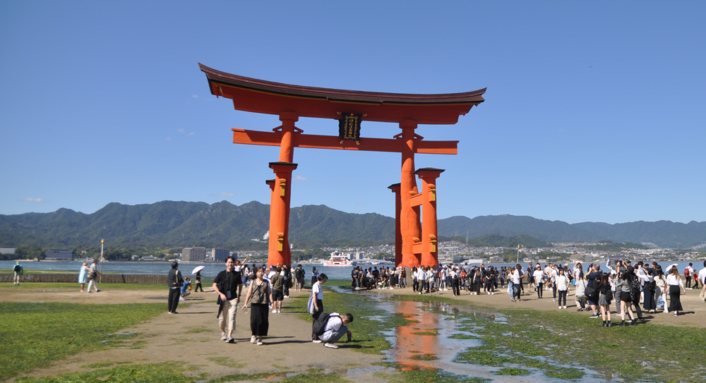 ���|�����傫���@�����_�Ё@�咹��