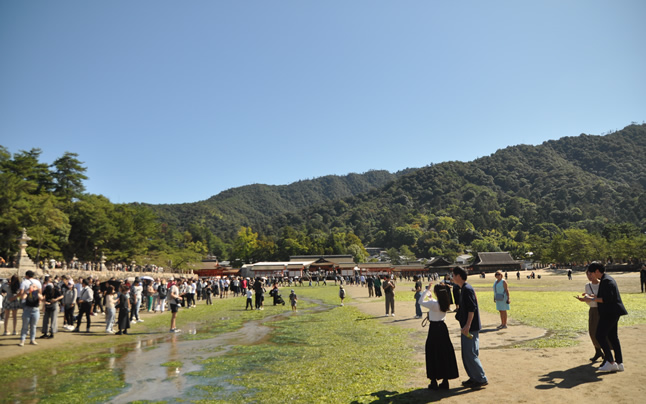 �咹���܂ŗN�����̓�