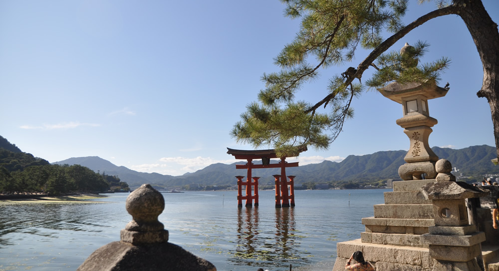 ��铕�z���Ɍ���咹��