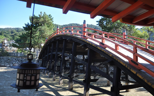 �����i����΂��j