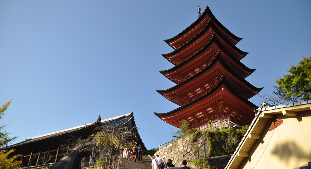 �L���_�� (�ق��������񂶂�)&nbsp; �܏d��