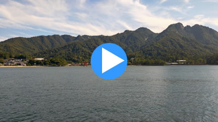 �{��  �咹��