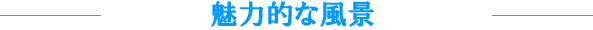 ���͓I�Ȏʐ^
