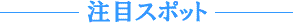 ���ڃX�|�b�g