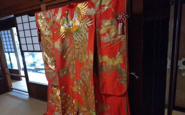 ���F�ƐԂ̍��؂Ȓ���