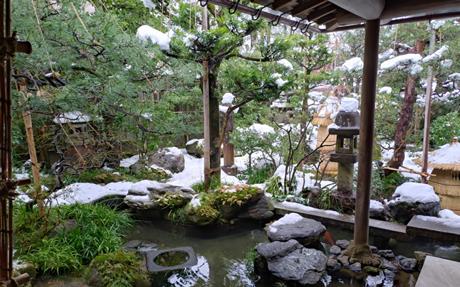 �D��ɉj����