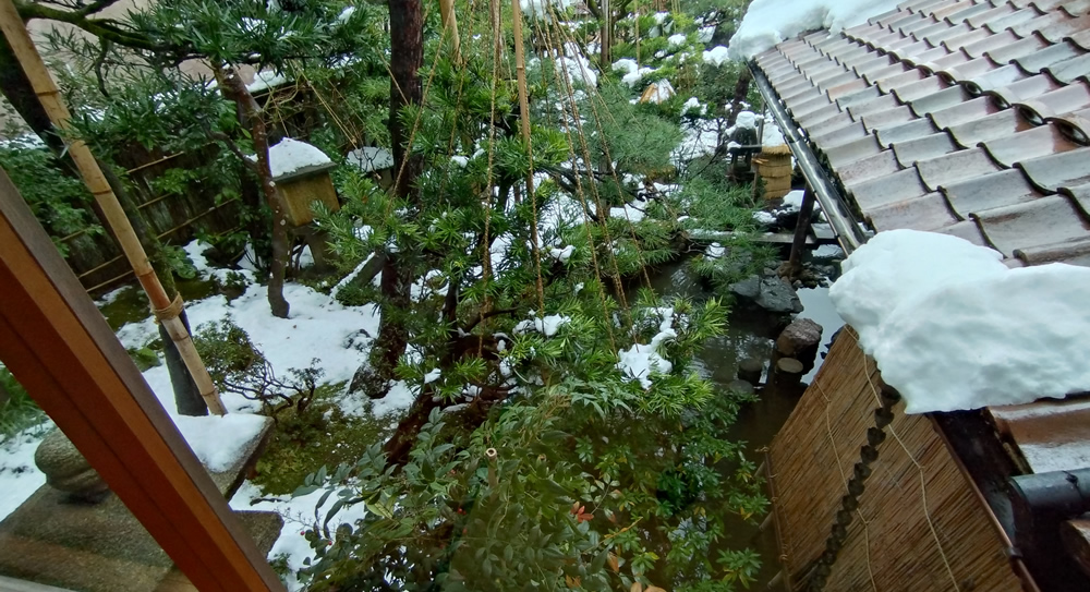 �������璭�߂�뉀