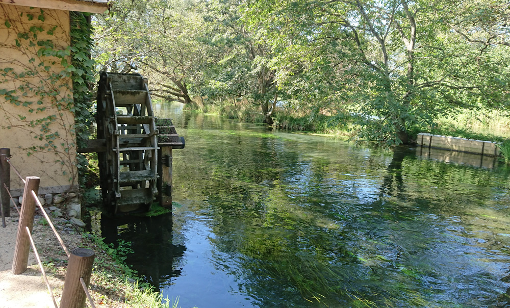 ���ܖ�@�剤�킳�є_��