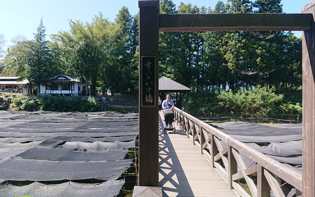 �K���̂�����