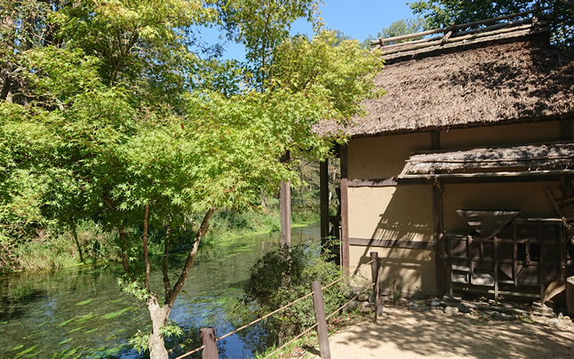 ���Ԃ̂��鑺