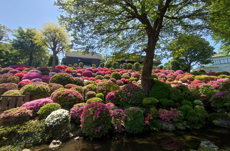 ���Ð_�Ё@��