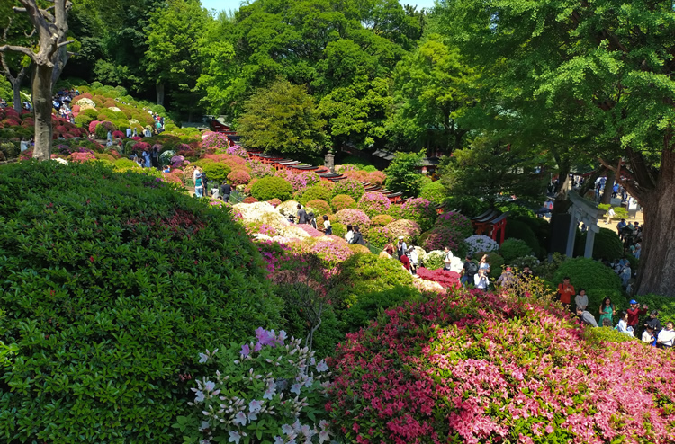 �����ɂ͂�������̐l������