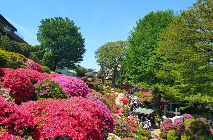 �F�N�₩�Ȃ�