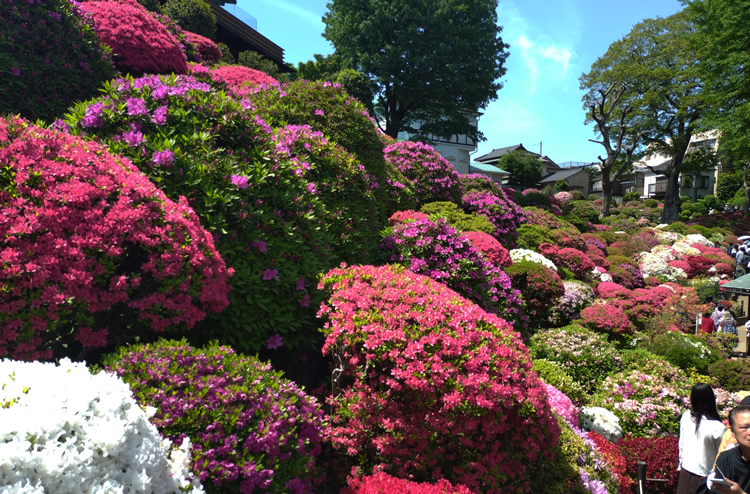 �������