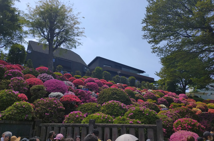 ���Ð_�Ё@������