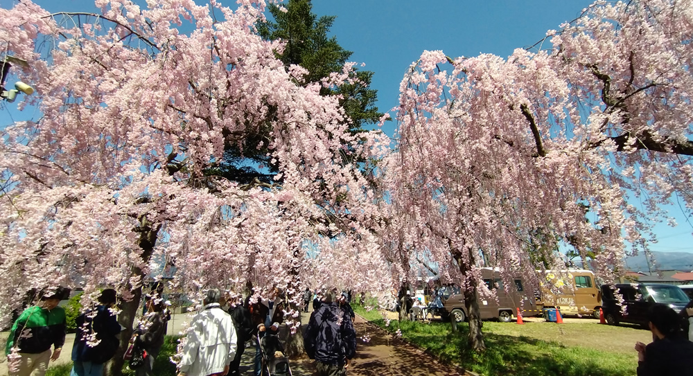 ��3km�����Ă����������