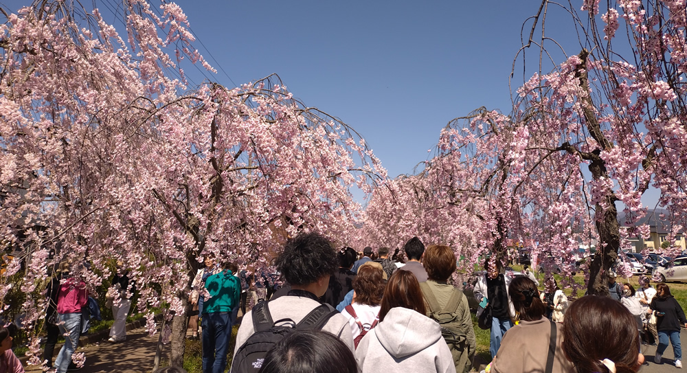 �ɂ��킢�������Ă��܂�