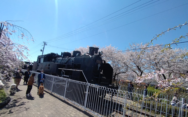 �͒Â�����ƍ؂̉�